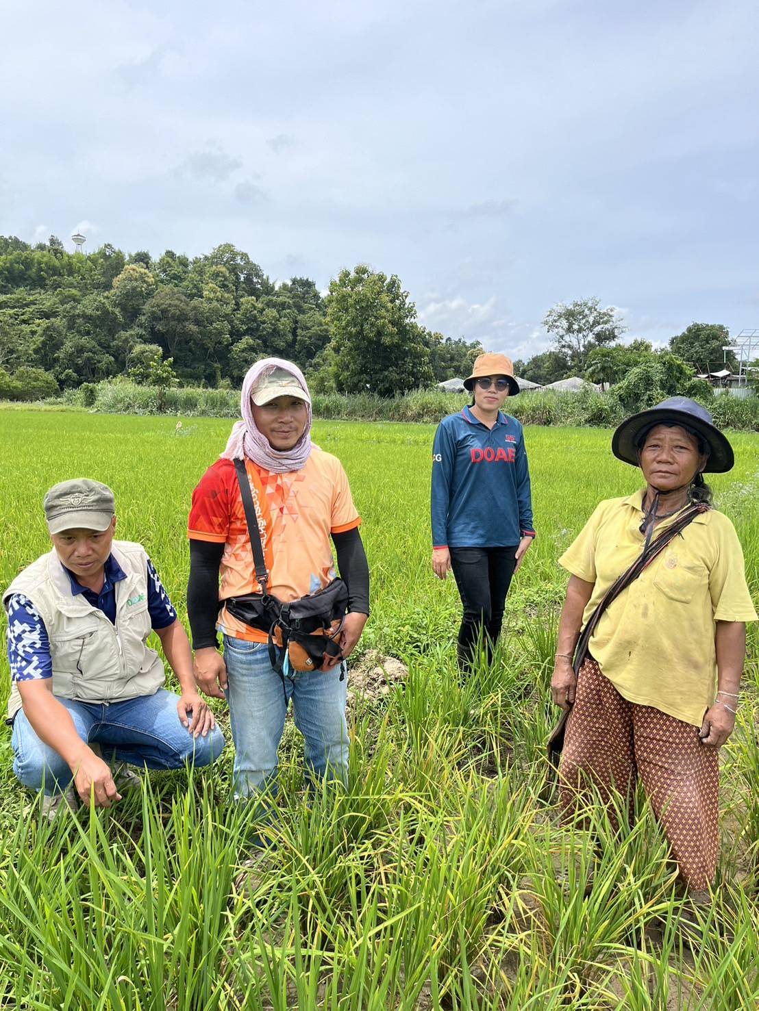 ข่าว